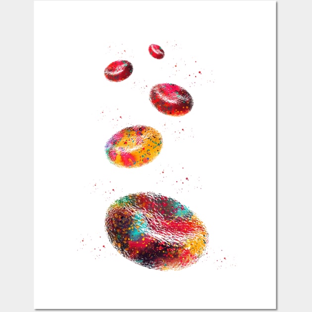 Red Blood Cells Wall Art by erzebeth